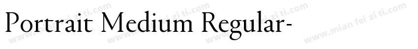 Portrait Medium Regular字体转换